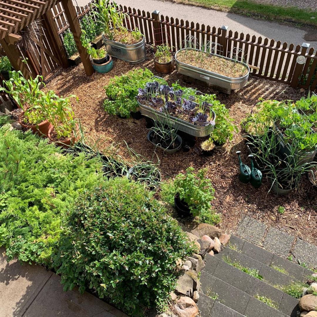 Let’s Talk about Raised Garden Beds