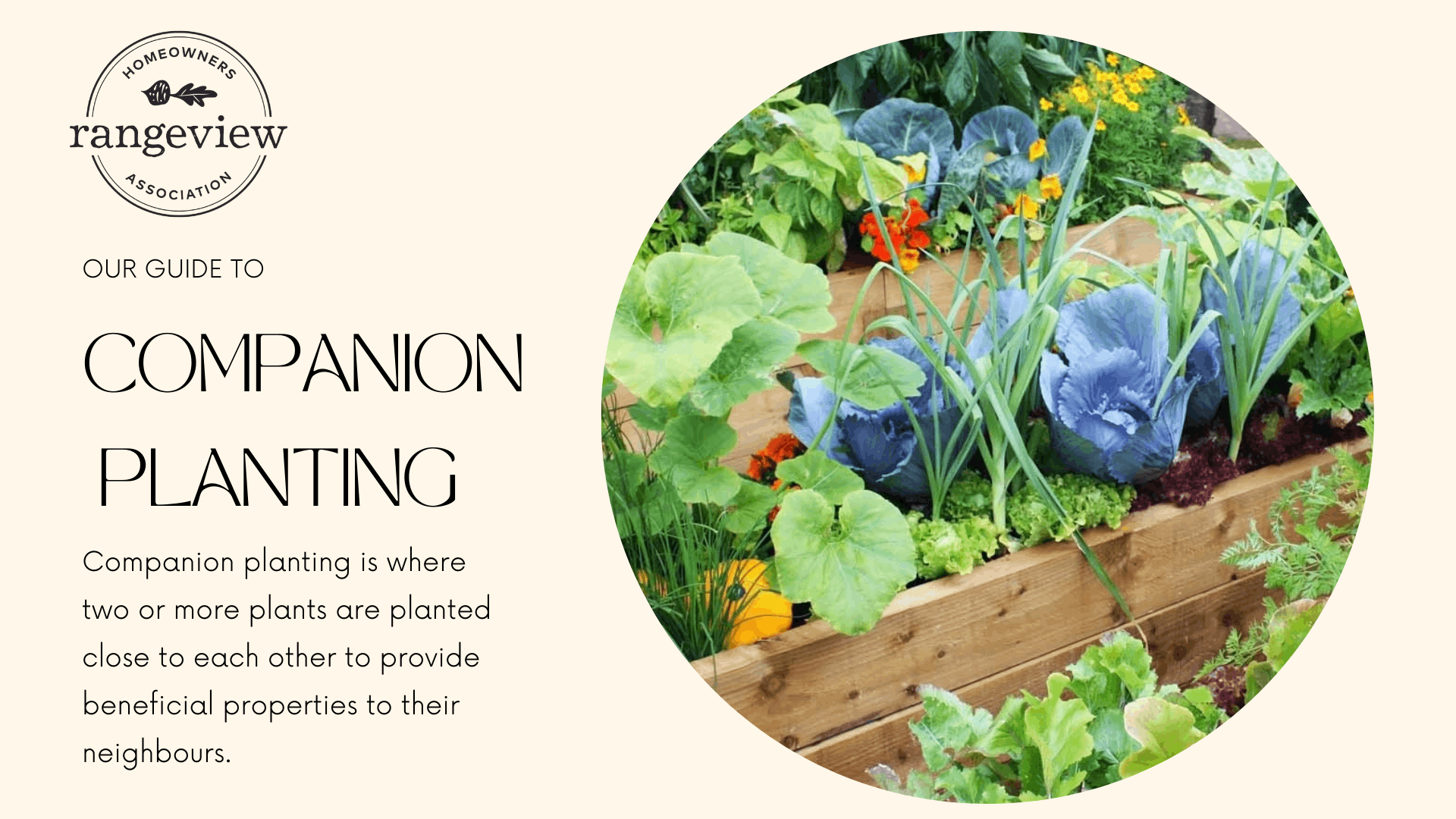 The RHOA’s Comprehensive Guide to Companion Planting